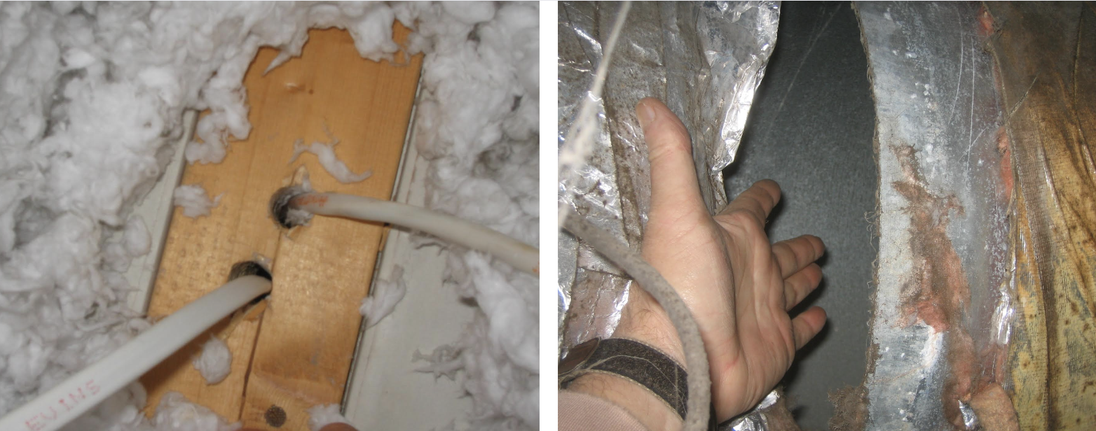Bruce-Glanville-insulation-collage-2.png