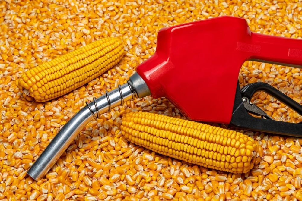 Ethanol-corn_AdobeStock_446708075_E.jpeg