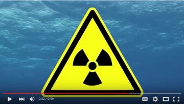 Watch this minute-long video on the existing pollution at Turkey Point.