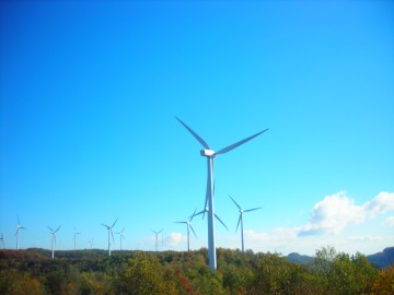 Buffalo Mountain wind farm