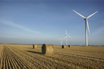 wind-farm-feild